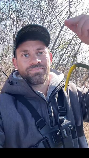 Fishing with a Wacky Rig Senko 🎣 #fishingvideos #fishinglife #fishinglures #bassfishing #fishing | Sun FishingSport