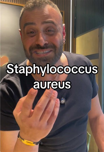 Understanding Staphylococcus aureus Infections