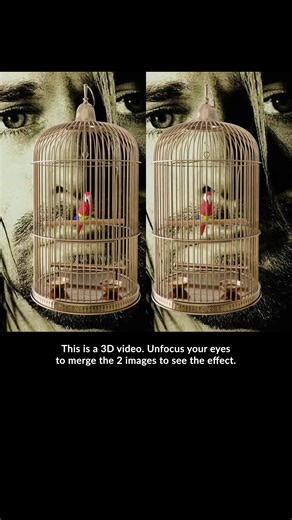 3D poly (parallel view) Focus your eyes past your screen to merge the Left and Right images. You will now see 3 images. The middle is in 3D. Can you see it? 😳