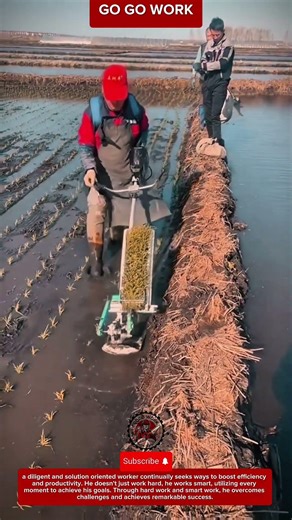Manual Rice Transplanting Tool Plants Seedlings In Perfect Rows