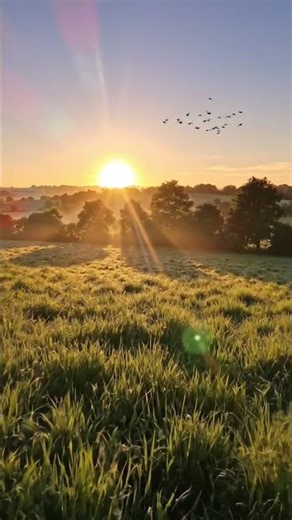 good morning #morningview #naturelovers #beautifulview #ytshorts #shorts