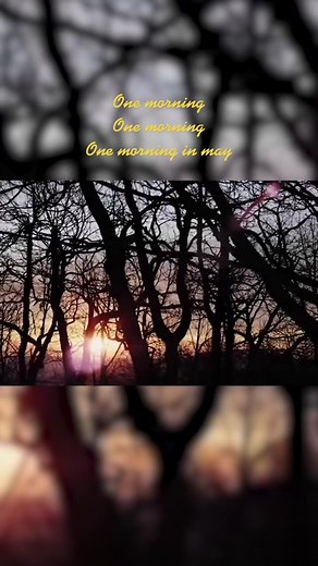 Rising Appalachia on TikTok