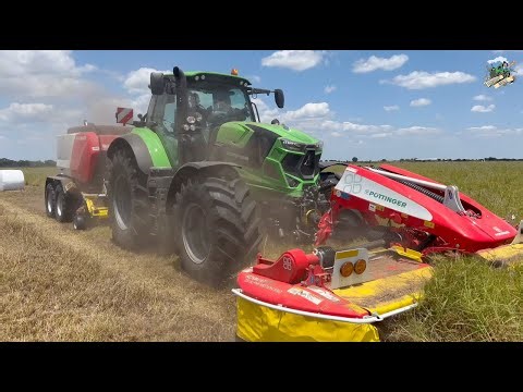 Making Hay in the Florida Sunshine