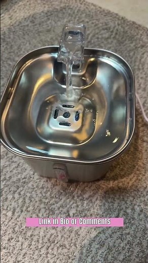 Stainless Steel Fountain That Cats Can't Resist