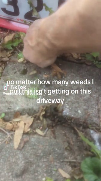 Effective Weed Control for Driveways