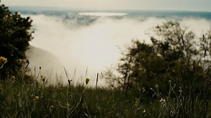 Nature, Mountains, Grass. Free Stock Video