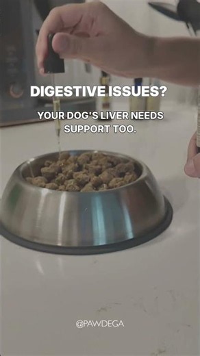 Digestive issues? Your dog's liver needs support too.