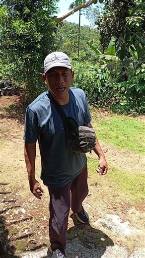 ada obos