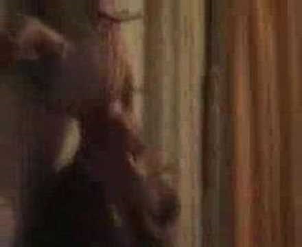 The New wave Hookers - Violent Tiger