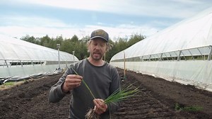 2.2K views · 52 reactions | Are you growing leeks this season? Jean-Martin Fortier shows you a quick tip for doubling your production and growing the beautiful long white stems that clients love.  Let us know in the comments if you're growing leeks!  | Market Gardener Institute | Facebook