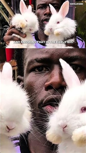 Hear the truth about Rabbit Farming from the perspective of an Electrical Engineer