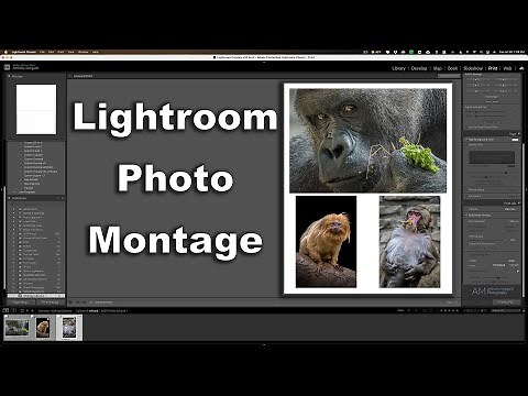 How To Create a PHOTO MONTAGE in Lightroom