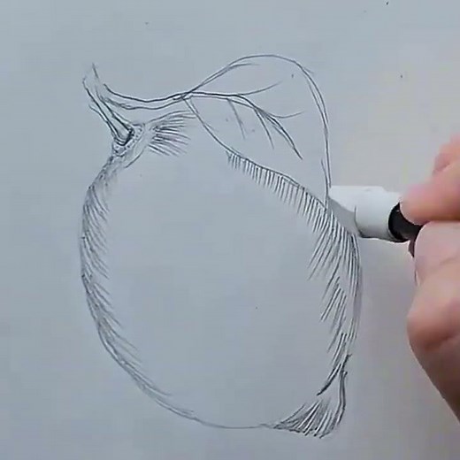 Easy Lemon Sketch Tutorial 🍋✏️