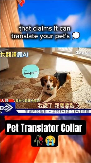 China Made an AI Pet Translator… 😭🐶(Can’t Wait to Be Hated) ✌️💀