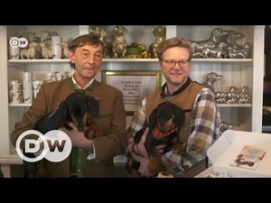 Dackelliebe | DW Deutsch