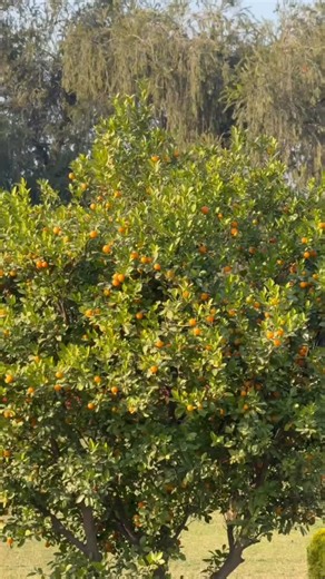 Bhawna Surender Bhandari on Instagram: "एक बेटी ने क्या खूब कहा है ✅🥀🥀🌺"