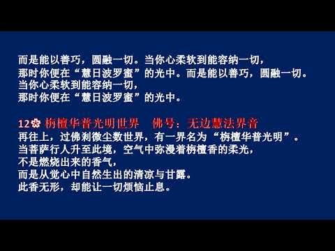 94 宝庄严香水海（积集宝香藏香水海右旋）9-14华藏世界海