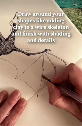 Pterosaur Drawing Tutorial with Details & Shadin✍️