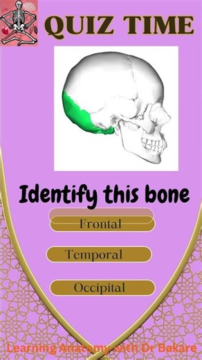 Cranial bone identification