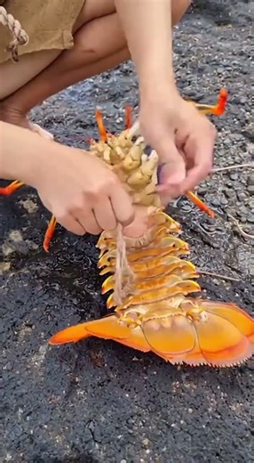 Survival Battle on a Deserted Island | Part 8