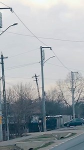 1.4M views · 10K reactions | #papagal #parrots #parrot #arimiculalexander #funnyparrot #funnyparrots #crazyparrots #birds #indianringneck #indianringneckparrots #alexandrineparrots #forpuscoelestis #pacificparrolet #animals #funnyanimals #鸚鵡 #Yīngwǔ #aengmusae #Ōmu #папагал #crazyanimals #smartparrot #animale #crazybirds #psittacus #pappagallo #perroquet #animals | Claudia Maier | Facebook