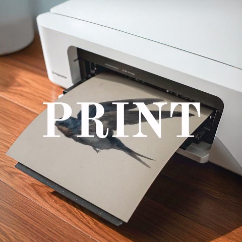 Vintage Barn Swallow in Flight, Rustic Cottagecore Watercolour Art (digital Download) - Etsy