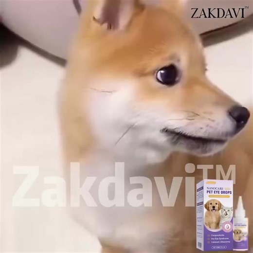 🐶 Ever looked into your dog’s eyes and noticed they’re not as bright as before? It breaks your heart — the redness, the tears, the cloudiness that wasn’t there yesterday. Now there’s a gentle, vet-trusted way to bring back that sparkle — no pain, no harsh chemicals. ✅ Soothes redness, dryness & irritation ✅ Helps clear cloudy eyes & tear stains ✅ Supports long-term eye health naturally ✅ Safe for all breeds, all ages — even seniors 💛 Thousands of loving dog parents have already seen their pups