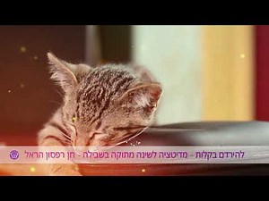 להירדם בקלות - מדיטציה לשינה מתוקה בשבילה