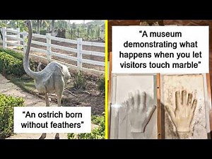 Moments When People Snapped Photos of the Random Things They Discovered