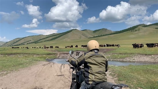 13 reactions | Why ride guided? Because you deserve more than just a map. ️ Local knowledge  Support when it matters  Real cultural immersion 律 Zero stress, all adventure At Motorcycle Sherpa, our expert guides don’t just lead the way—they elevate the journey. Ride further, safer, and deeper into the heart of the adventure. #motorcyclesherpa #adventure #climbingmountainswithmotorcycles | Motorcycle Sherpa | Facebook