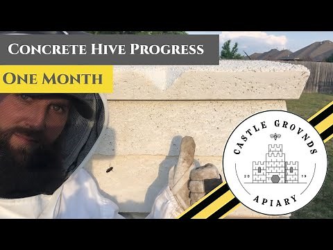 Incredible Progress After One Month - Concrete Hive