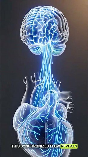 3D Heart & Brain Sync: Stunning Neural Pulse Visualization
