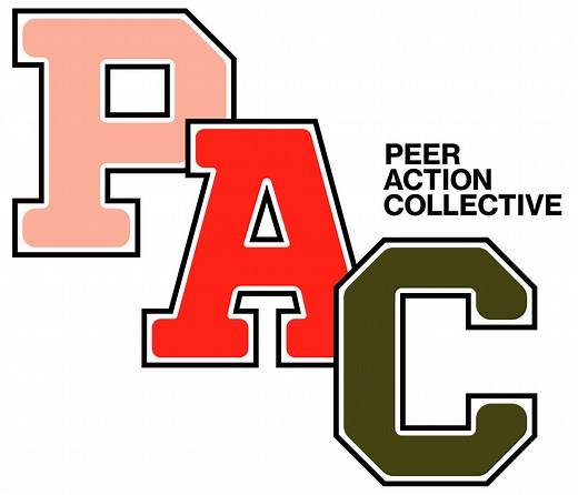 Peer Action Collective | Youth Endowment Fund