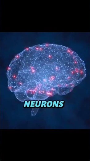 This Tiny Chip is Smarter Than A Brain Cell