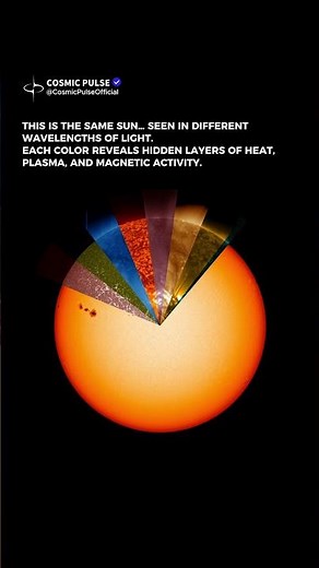 The Sun Looks Completely Different in Other Wavelengths ☀️