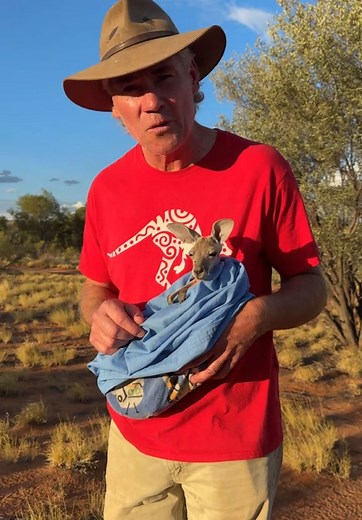 TheKangarooSanctuary on TikTok