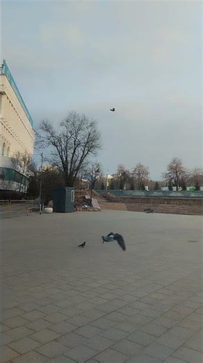 Premium private tours in Almaty. Pro guide, VIP cars & zero risk. Best canyons and lakes. Book now!