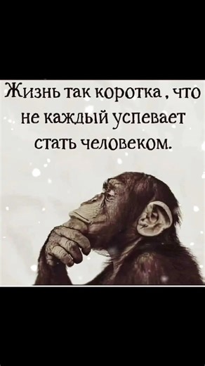 Философия, мотивация и мысли #любовь #цитатыосмысле #цитаты