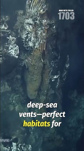 Exploring Europa: NASA's Quest for Alien Life