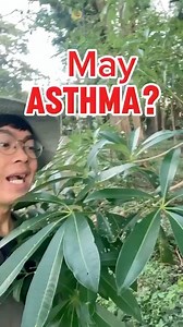 64K views · 2.8K reactions | Dita or blackboard tree | Ethan Hernandez | Facebook