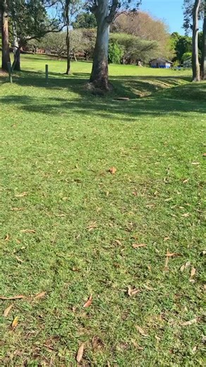 Exploring Xhosa Culture Through Traditional Songs and Dance