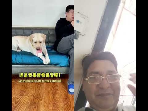 #entertainment #reaction #cute dog #comedy