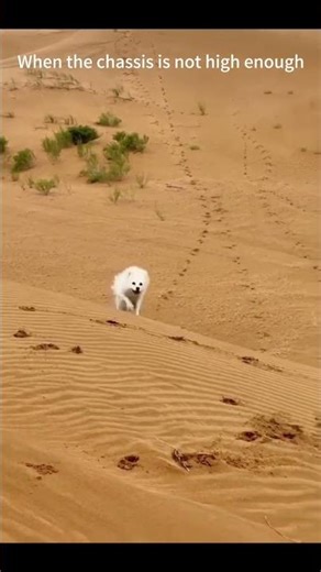This clearly shows how ground clearance affects a vehicle's off-road capability. #newchinaev