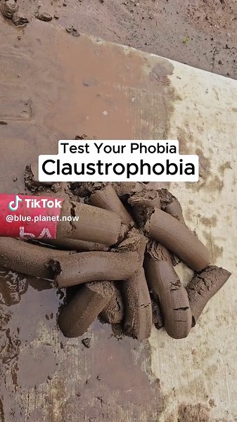 Test de Claustrophobia: ¿Tienes Miedo a los Espacios Cerrados?