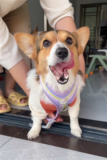 Tutu’s dayliy life on TikTok