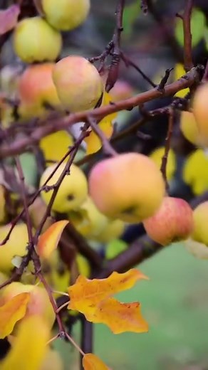 23 reactions | No need to be scared of the rain coming this week when you can count on your Outback Oilskin gear to keep you dry and warm! ☔️ 鸞: @nantucket_blue is wearing her Adelaide Oilskin jacket and Iron Bark hat! #outbacktradingcompany #westernapparel #oilskin #raingear #rainjacket #outdoorsygals #equestrianstyle #winterjacket | Outback Trading Company LTD. | Facebook