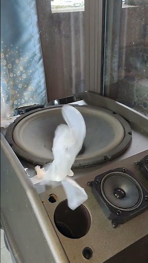 12 Subwoofer Excursion & Airflow Demo (Satisfying) #nghia #dj #basstest #subwoofer #bass #pcsound