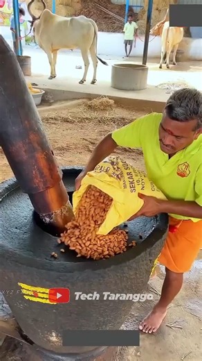 How Pure Almond Oil Is Made | Traditional Cold-Pressed Oil Making Process