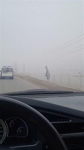 asl Wayne oxiri #aslwayne #aslwaynee #bogat #xorazm #xorazm_rek #rekkkkkk #rek #video