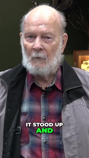 Sasquatch Legacy: Genuine Sighting in Remote Valley